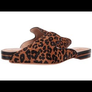 Schutz Tracy Wild Leopard Mule, NWT, Size 6